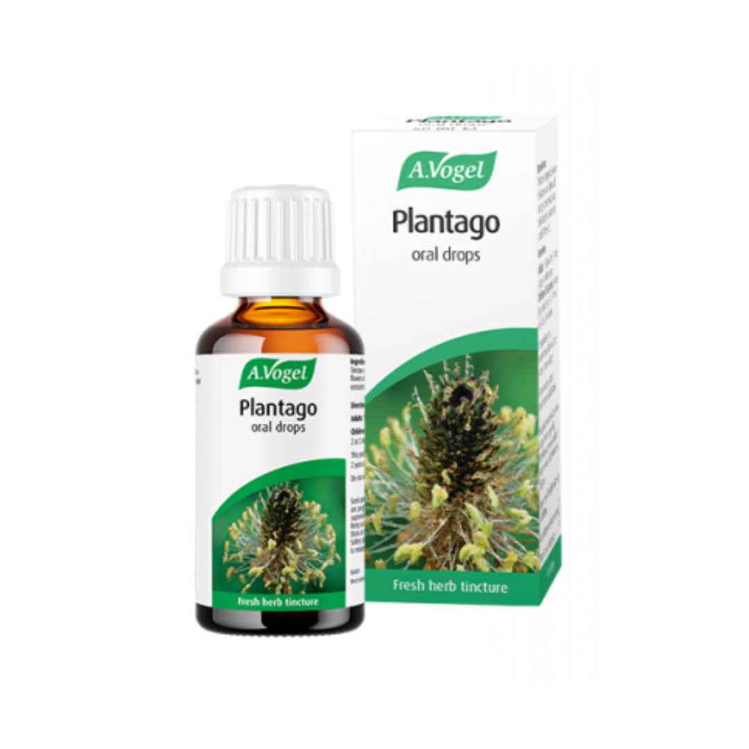 A Vogel Plantago Drops