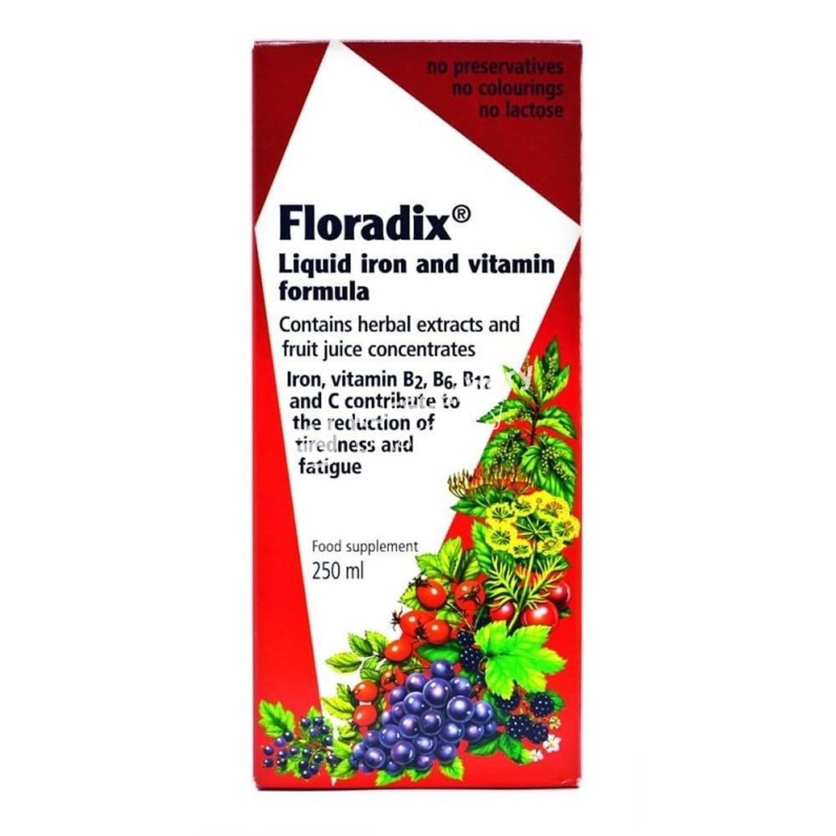 Floradix Liquid Iron &amp; Vitamin Formula Multivitamins