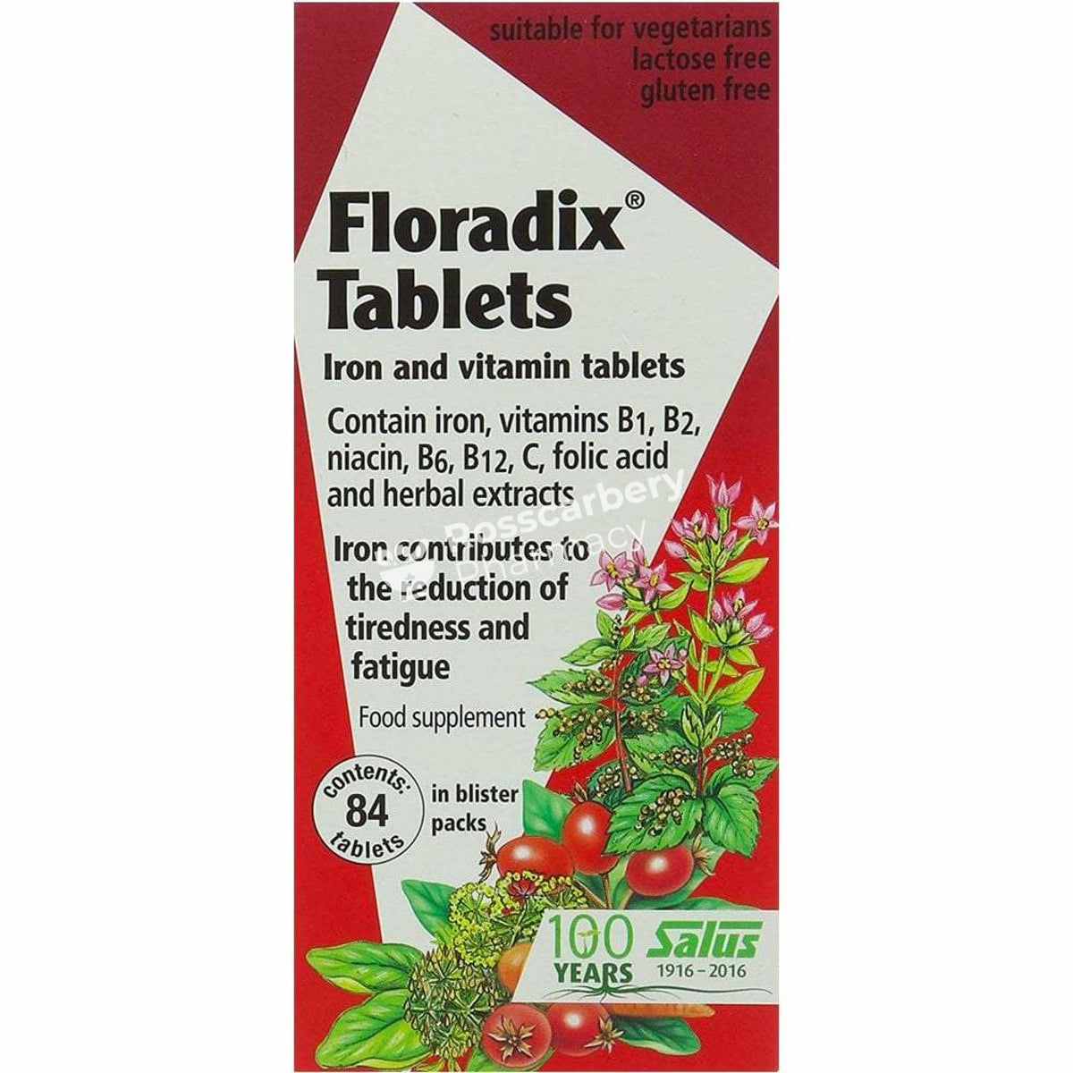 Floradix Tablets Iron &amp; Vitamins Multivitamins